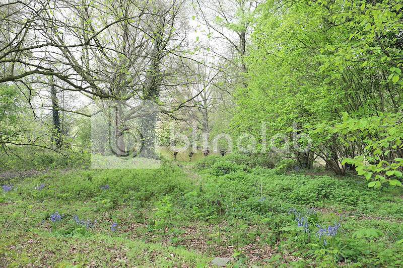 Proosdijpark-4