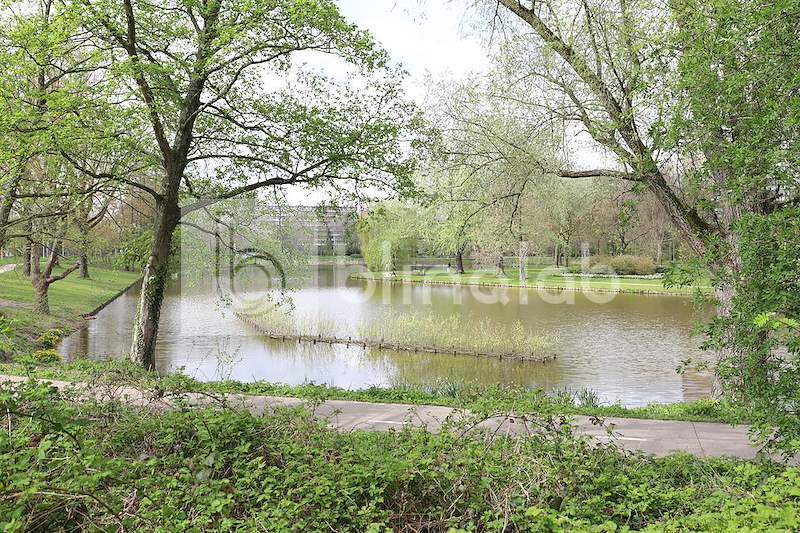 Proosdijvijver-10