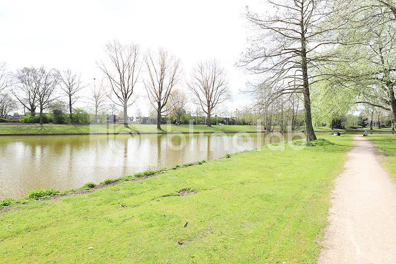 Proosdijvijver-3