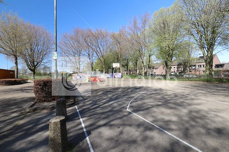 Skatepark-de-wieen