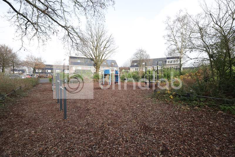 Speeltuin-Eendekamp