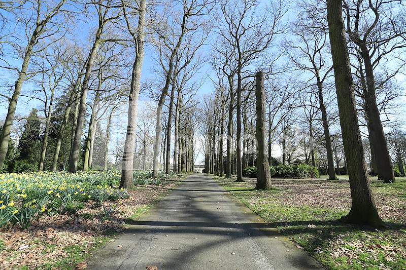 Stadswandelpark-2