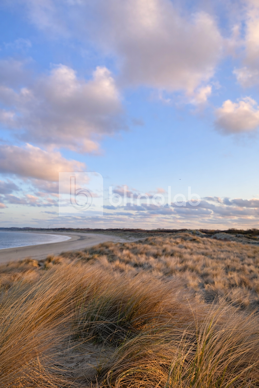 Strand2