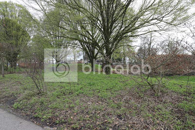 Uden_bevrijdingspark1