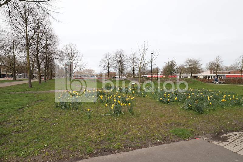 Uden_bevrijdingspark3