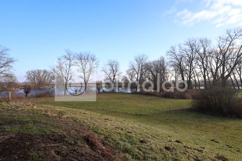 Uitzicht-wilpsedijk