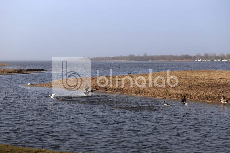 Veluwemeer-1