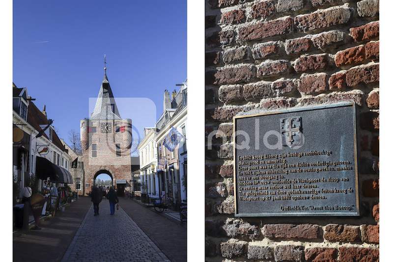 Vischpoort-oorsprong