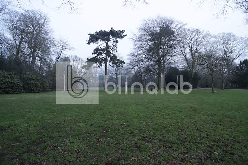 Wilhelmina-park