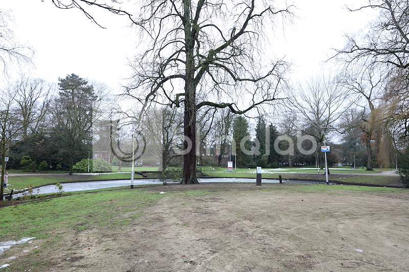 Wilheminapark-2