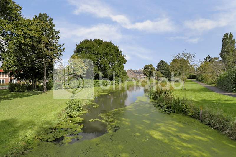 Windmolen-park-02