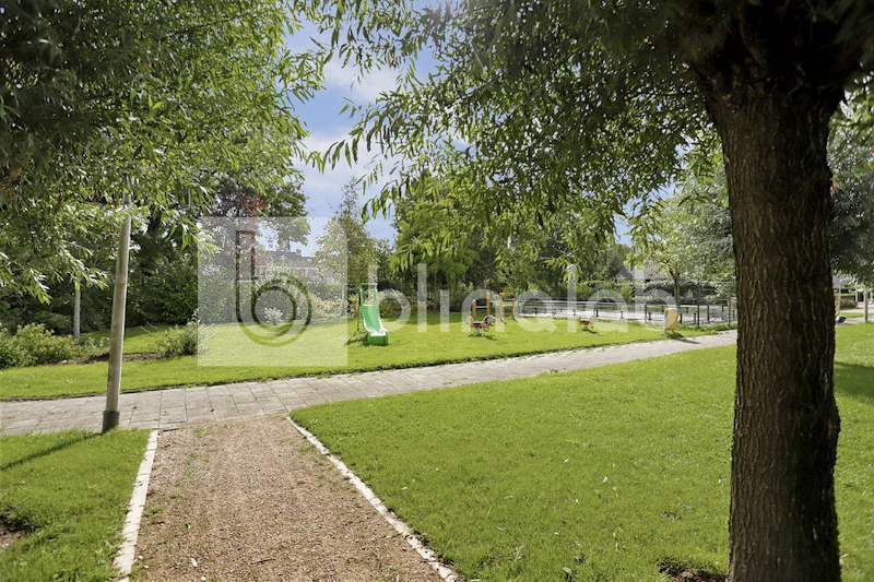 Windmolen-speeltuin