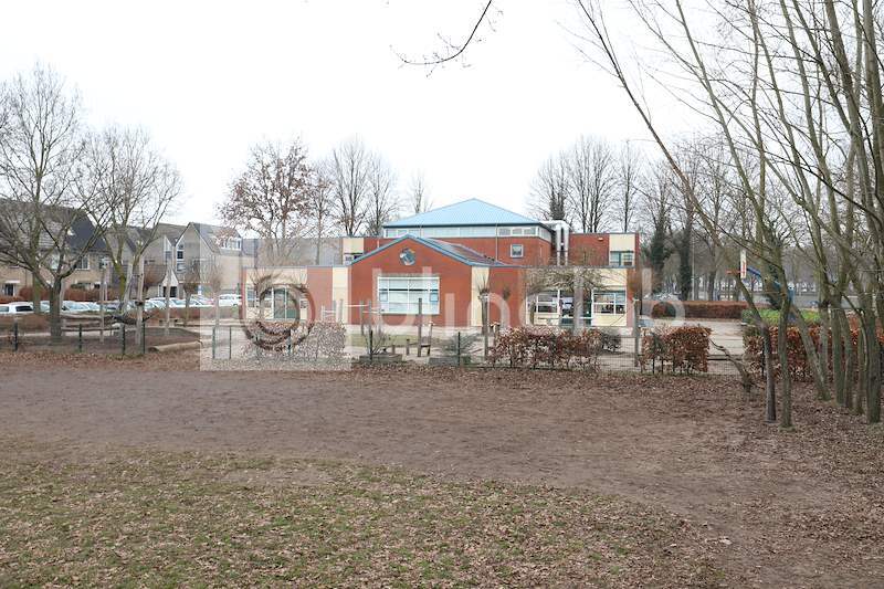 de-Vlinderboom-1