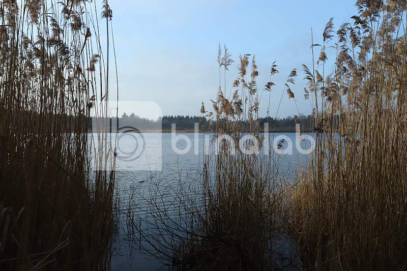 groot-klein-meer-vessem-wintelre-7