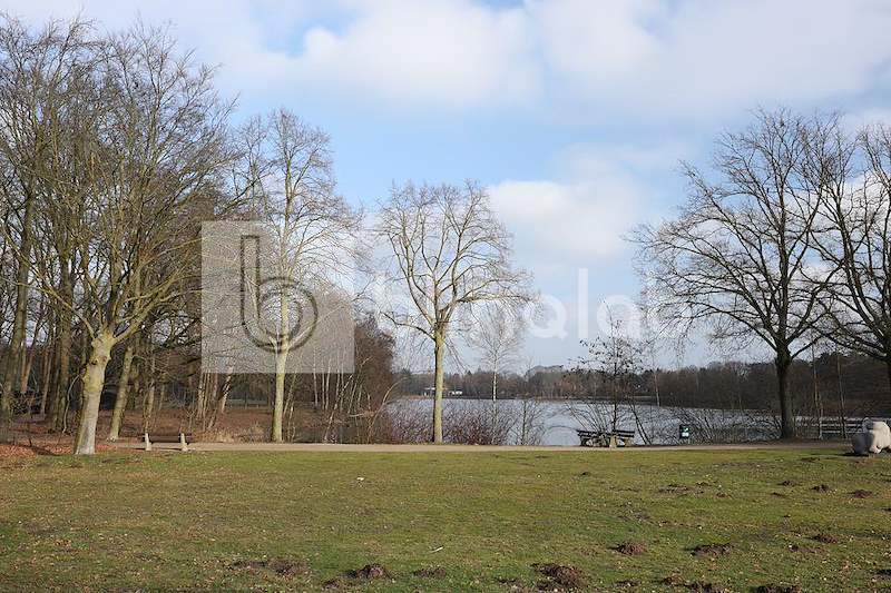 karpendonkseplas-1