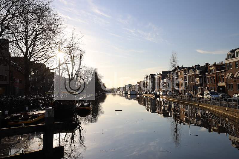 kattensingel-1