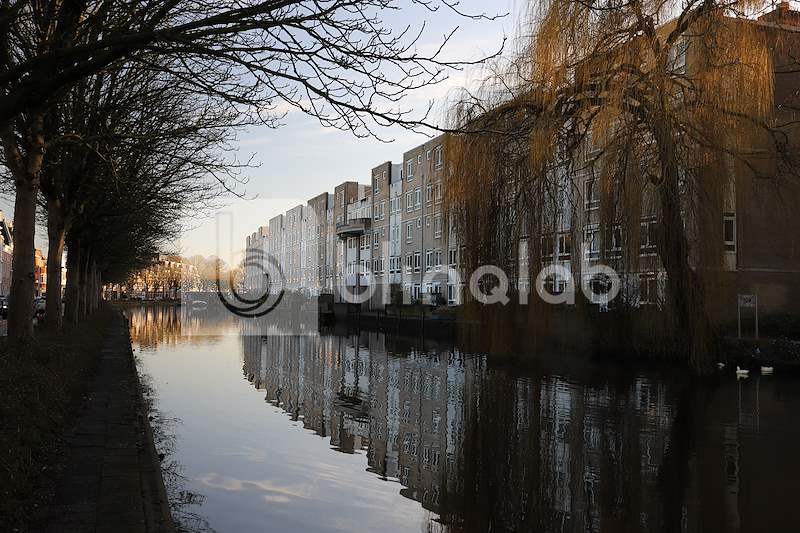 kattensingel-2