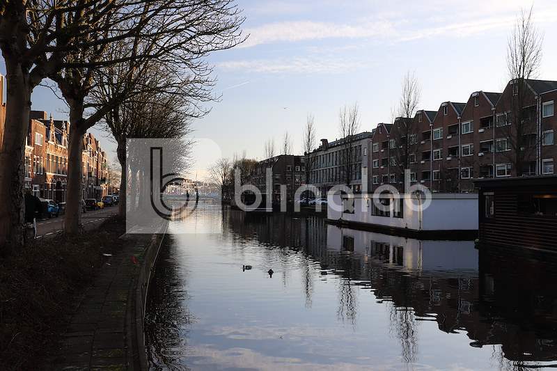 kattensingel-3