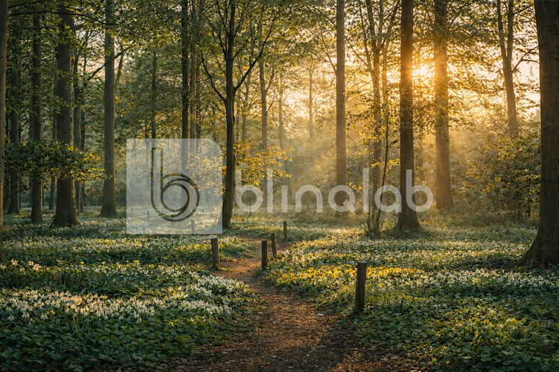 mildenburg_park_01