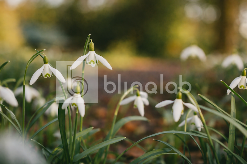 mildenburg_park_04