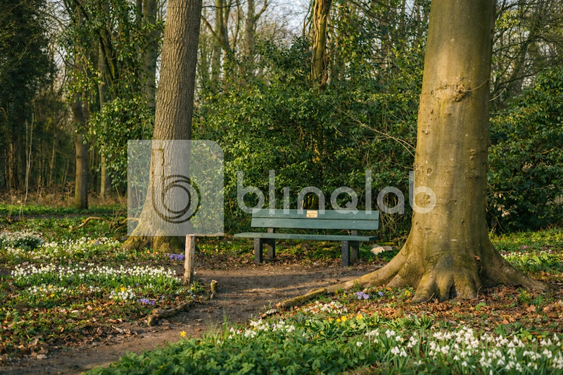 mildenburg_park_05