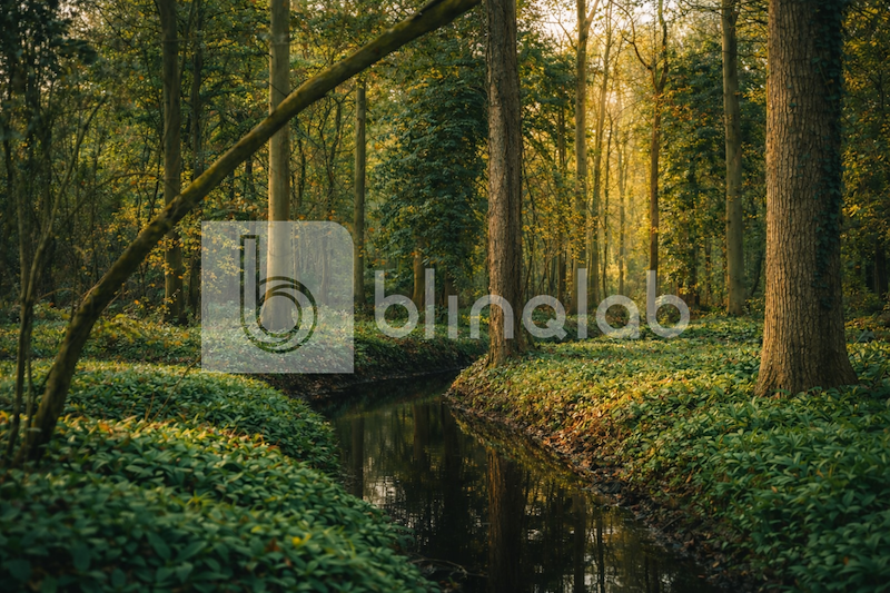 mildenburg_park_06