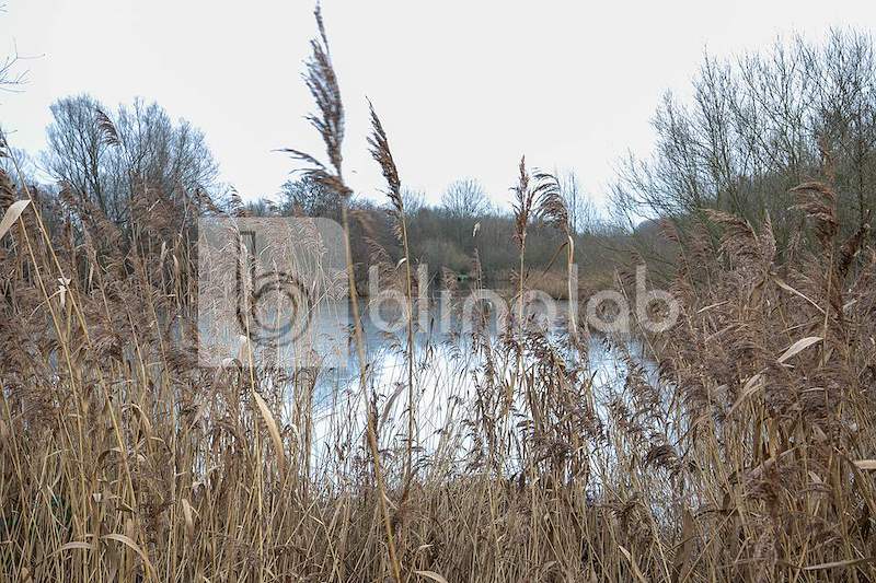 oosterpark-3