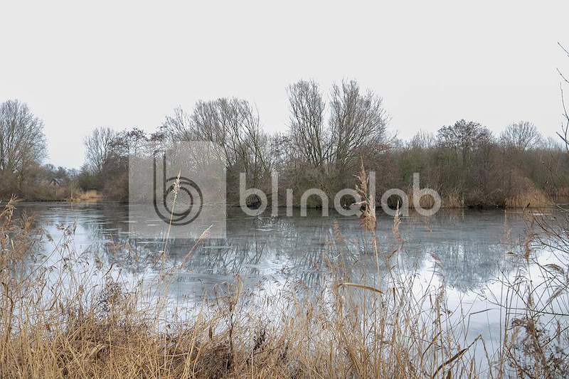 oosterpark-4