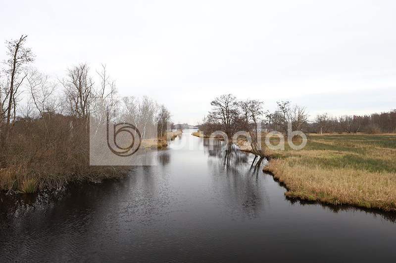Amsterdamse-Bos_3