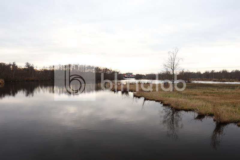 Amsterdamse-Bos_4