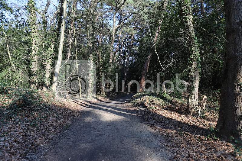 Bergerbos-Bergen-NH-12