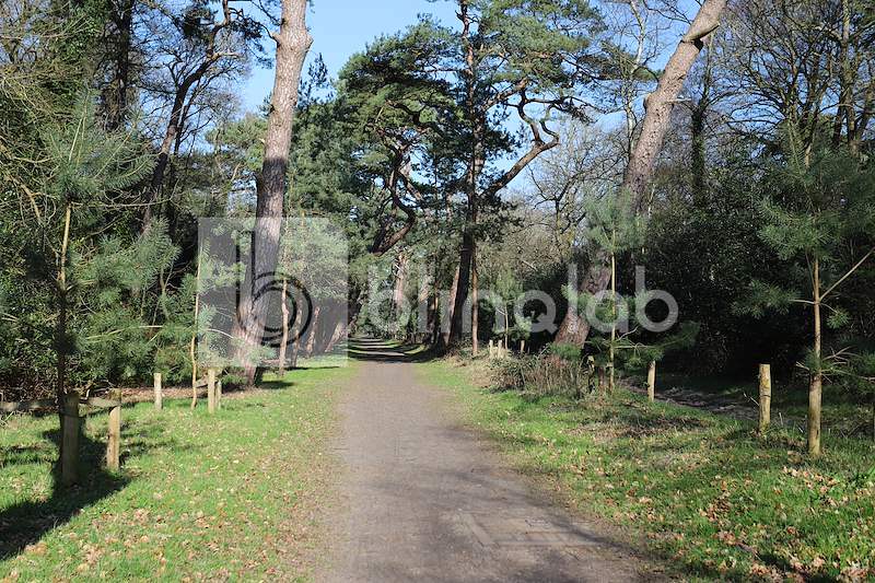 Bergerbos-Bergen-NH-8