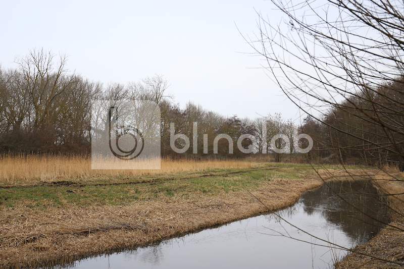 Buurtbos_enkhuizen-10