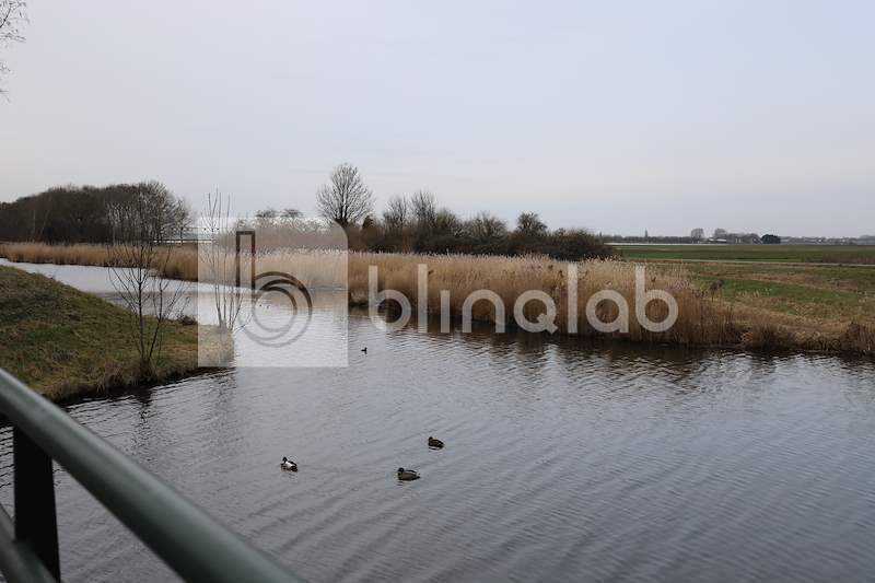 Buurtbos_enkhuizen-12
