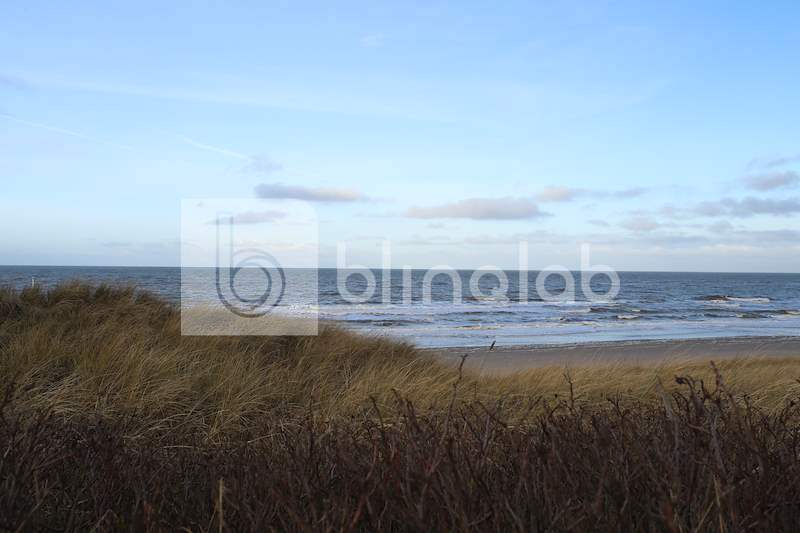 Callantsoog-duinen
