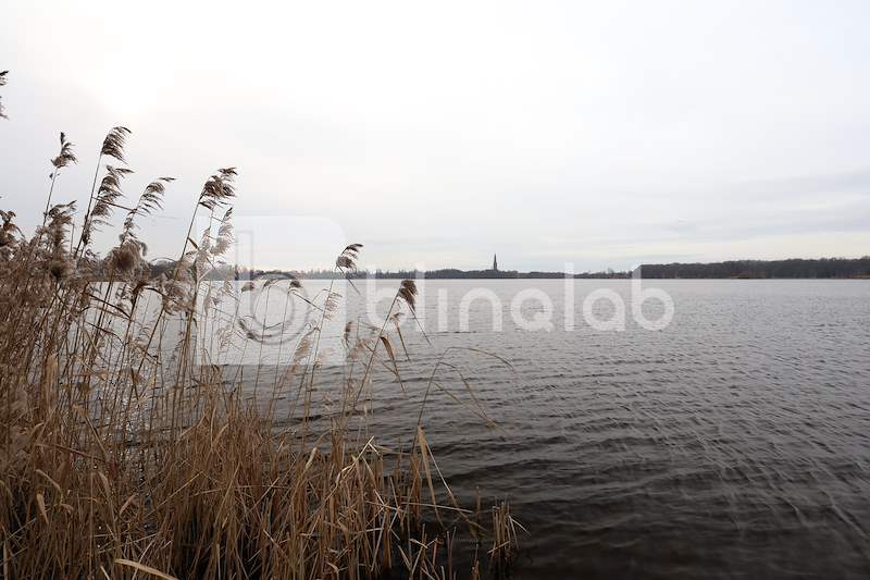 De-grote-poel_1
