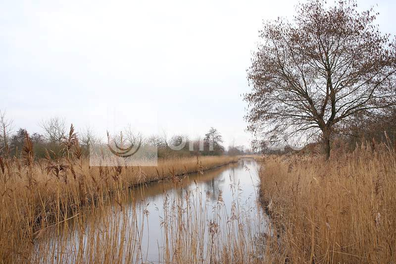 Diepsmeerpark-Oudkarspel-3