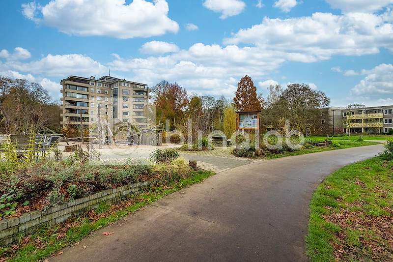 Doe-Park-2