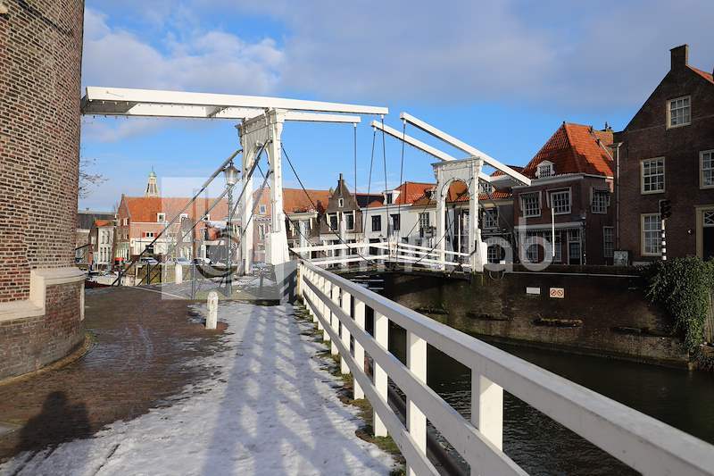 Dromedaris_enkhuizen-3