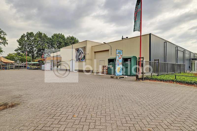 GRAVE_welkoop