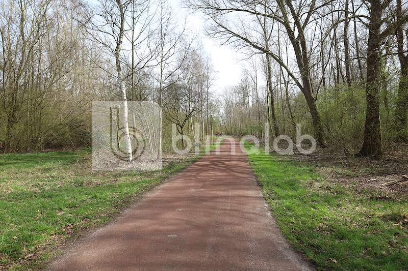 Gaasperplas-1
