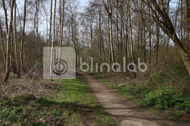 Gaasperplas-5