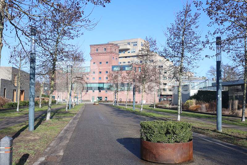 Gebouw-tubantia_1