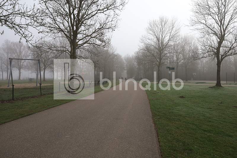 Haarlemmermeerse-Bos-4