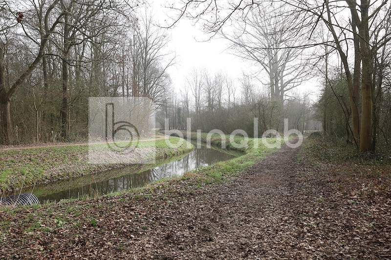 Haarlemmermeerse-Bos-8