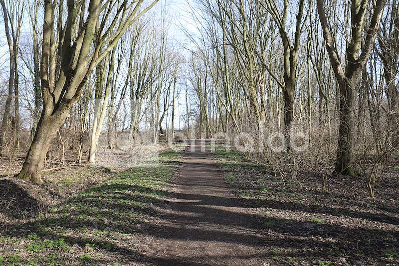 Het-Twiske