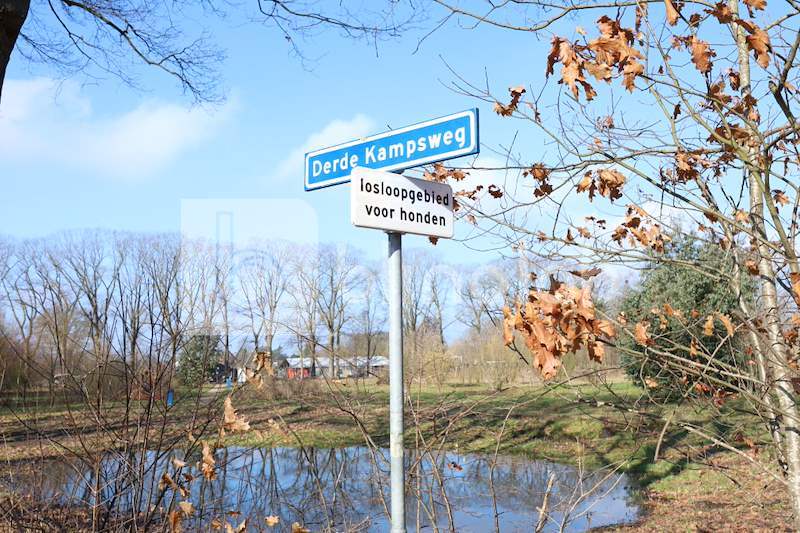 Honden-losloopgebied-Derdekampsweg_1