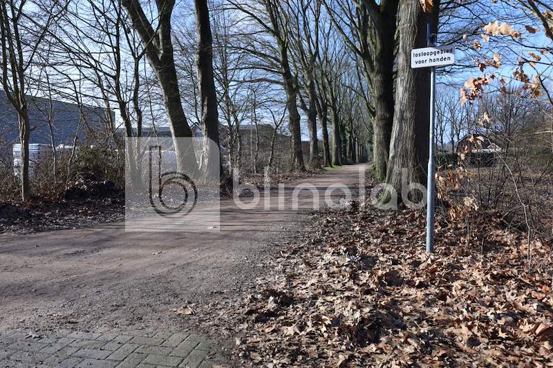 Honden-losloopgebied-Derdekampsweg_2