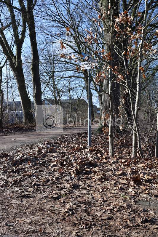Honden-losloopgebied-Derdekampsweg_4