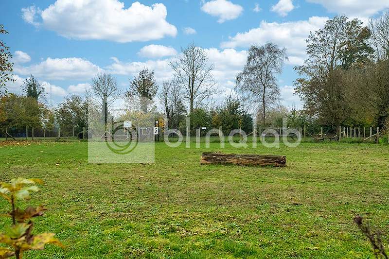 Hondenspeeltuin-1
